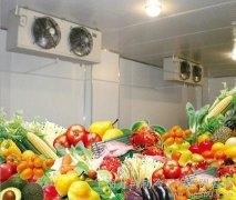 安裝一座冷庫(kù)存放蔬菜需要多少錢，造價(jià)多少