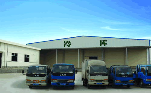 大型冷鏈物流冷藏車，果蔬冷庫安裝設計·