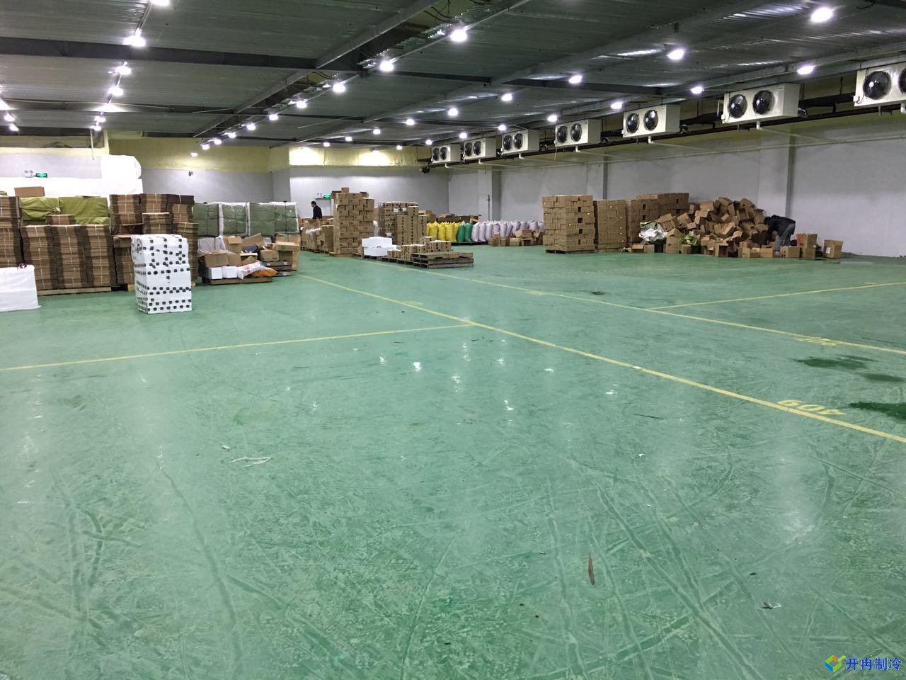 上海開冉0-5℃果蔬保鮮冷庫(kù)建造案例圖片