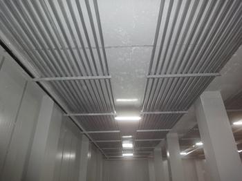 -35℃速凍榴蓮冷庫造價，榴蓮冷庫冷凍設備