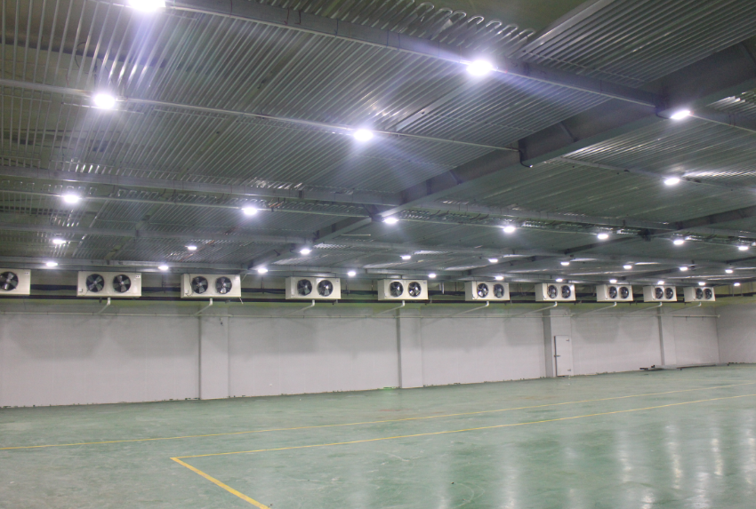 500噸冷凍肉冷庫建造，-18℃低溫肉類冷凍庫安裝造價